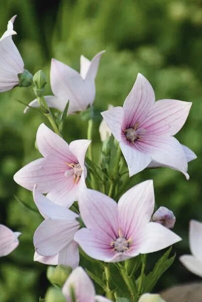 E60FBE41-8C36-463C-9B6F-8D4E1B5C13E4