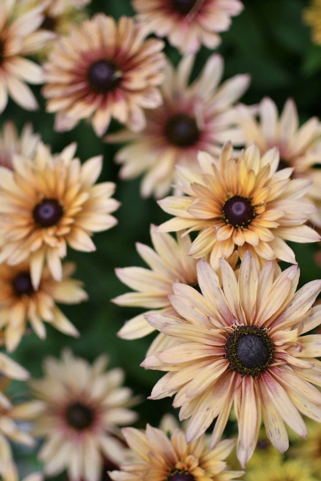 03F5738C-B8BB-4C08-8E2A-AFE02A28B6A4