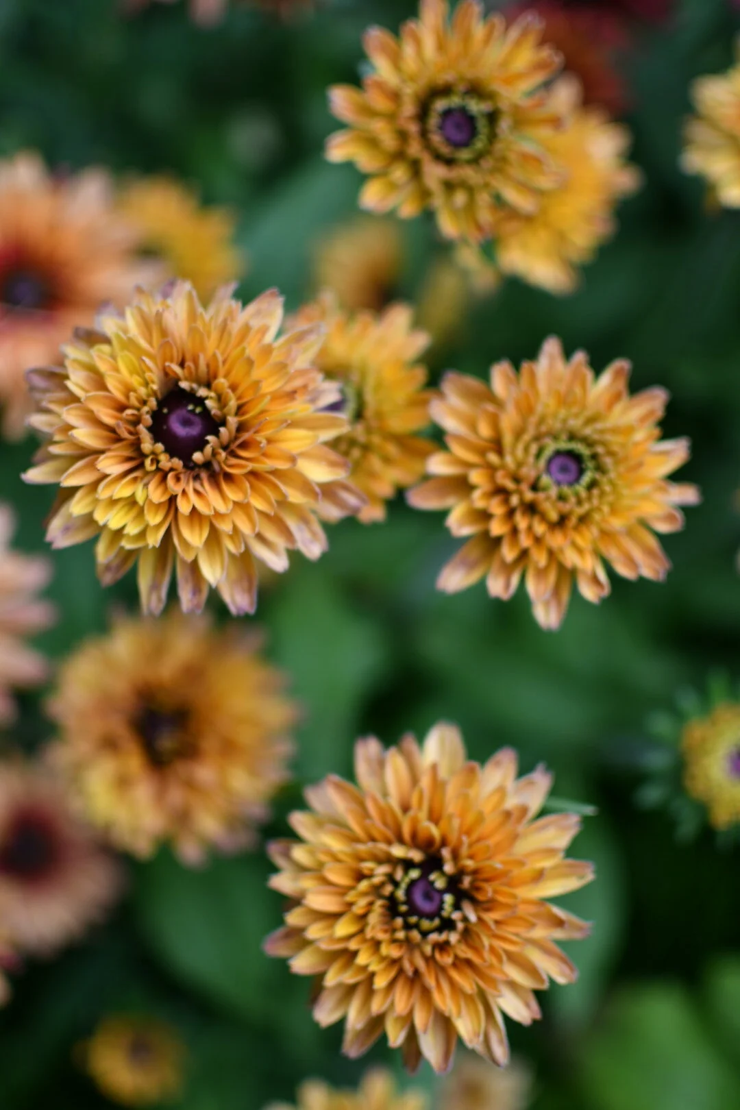 B662B0D1-77DE-4C34-8112-EB407A191363