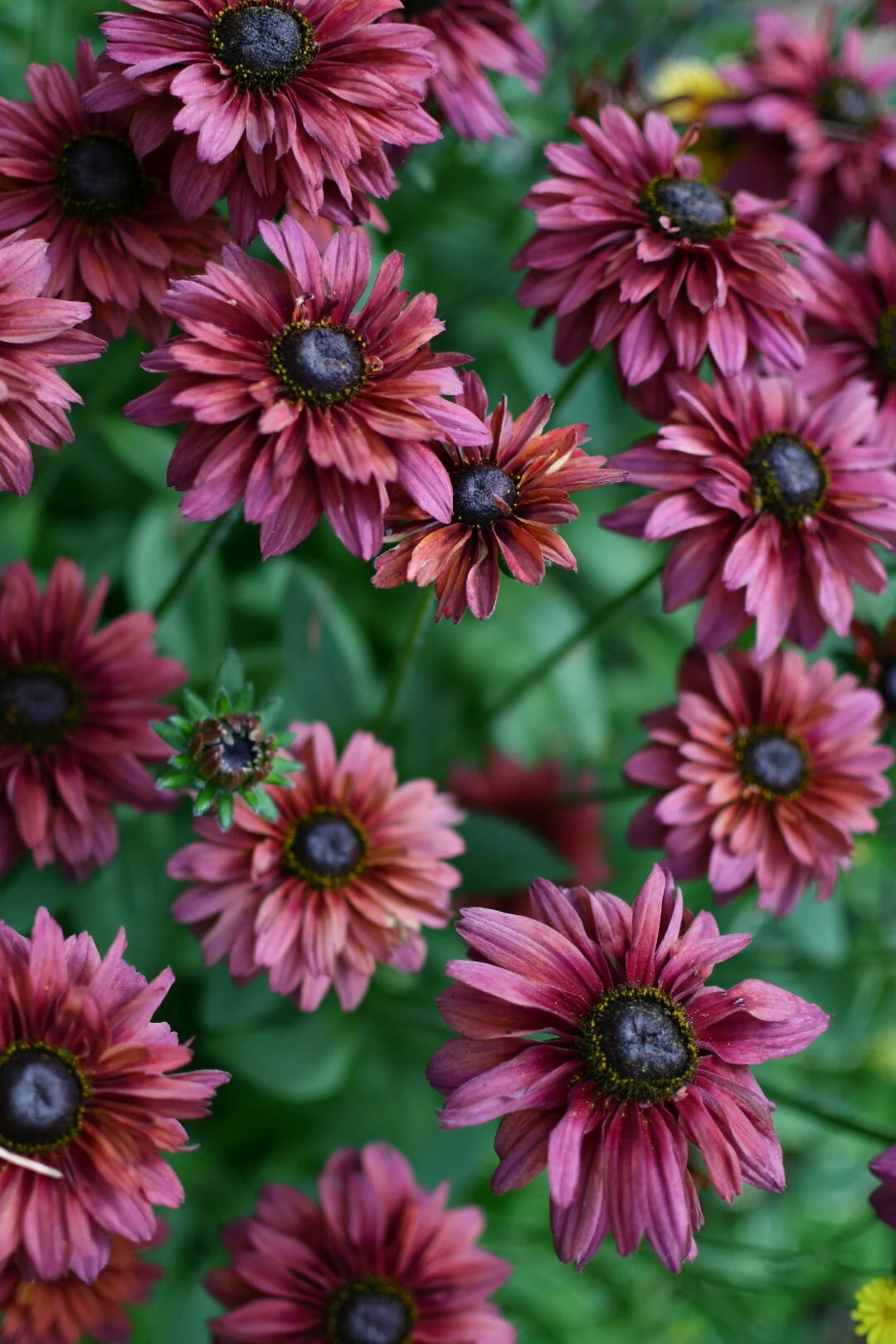 2C1F3244-6102-4D8D-BF54-90357FC674AB