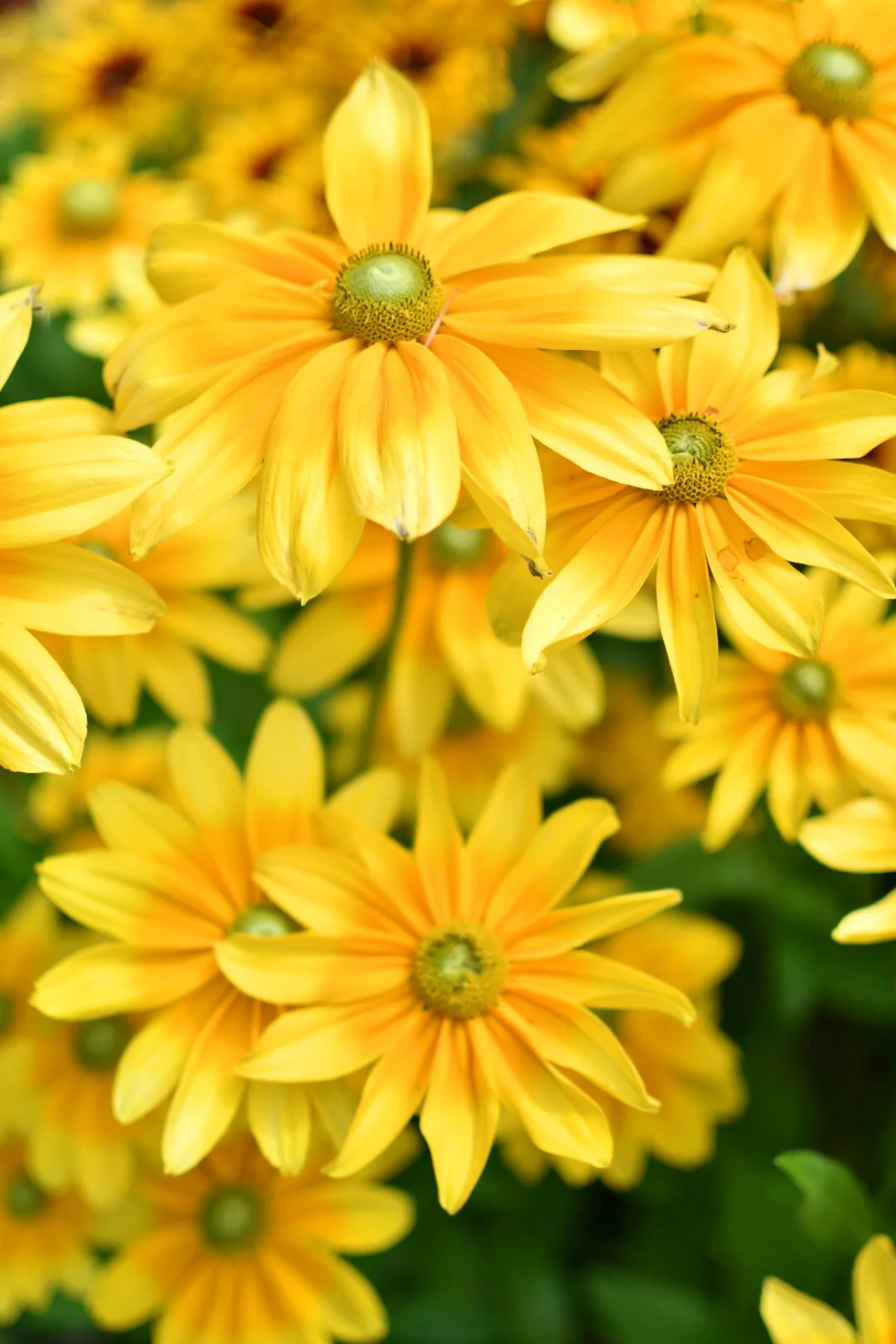 171D4314-92BD-4CCB-8914-C18F652295AC