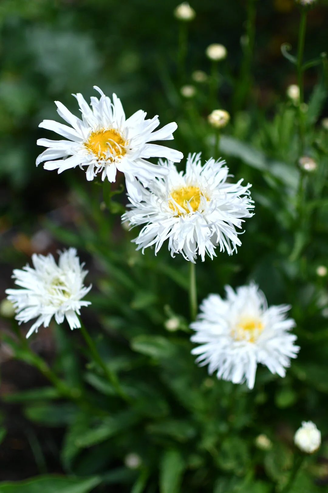 3E8BC469-DCAE-42E2-8C52-2A0264BE6C31