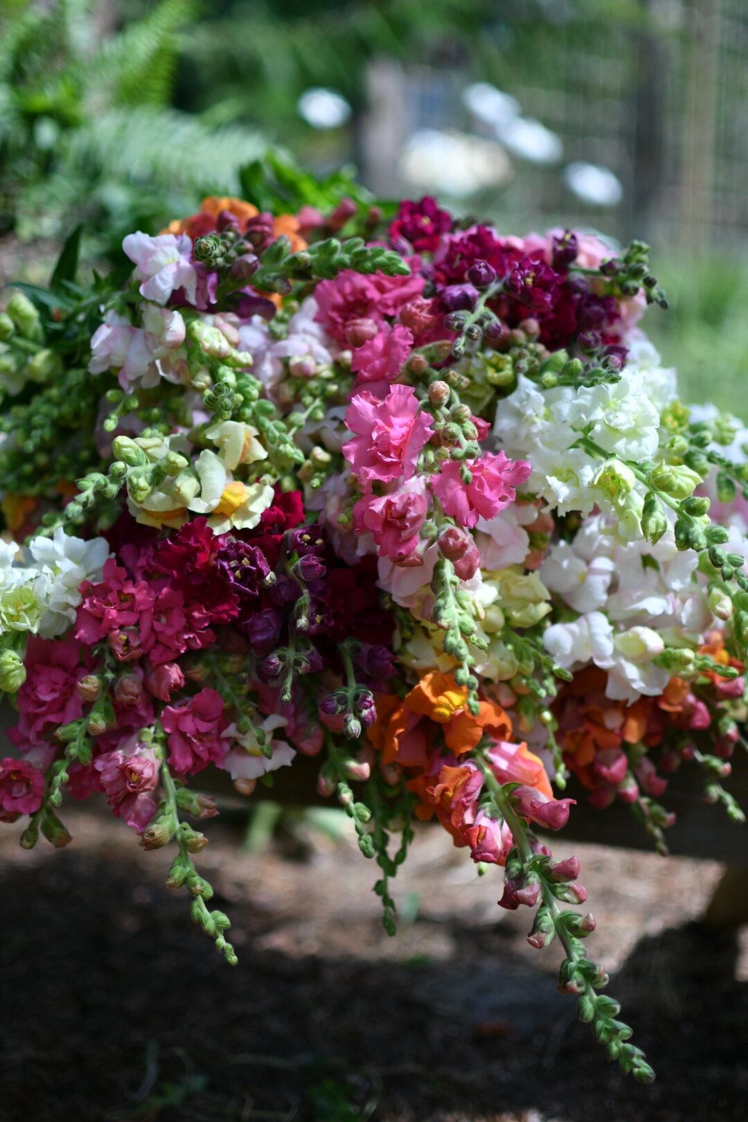 5A2DC539-59CC-415F-807F-FC9EB342F6F2