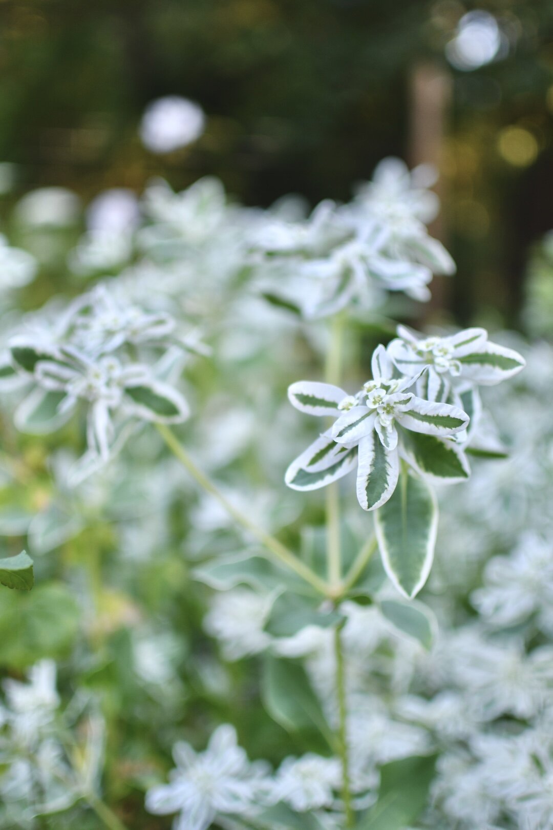 95ACE647-7FBA-4AAB-A640-4CC286C12EF7