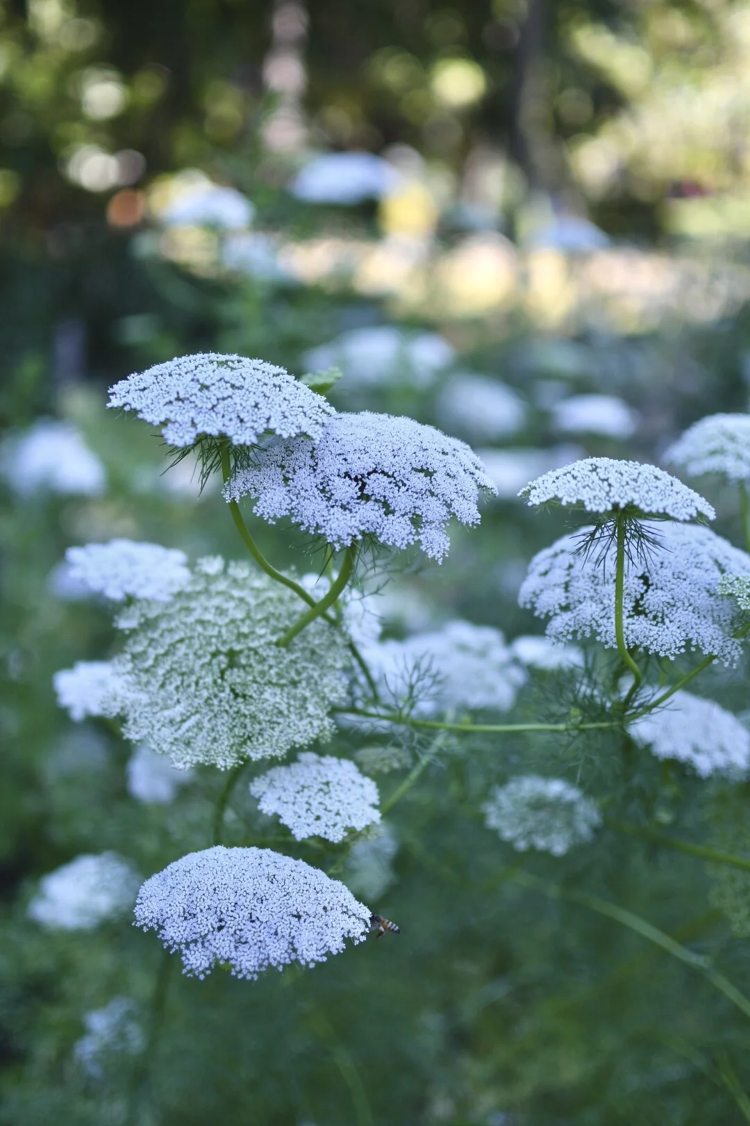 534FFD9A-6BA0-4837-8775-9CA0B086E7A2