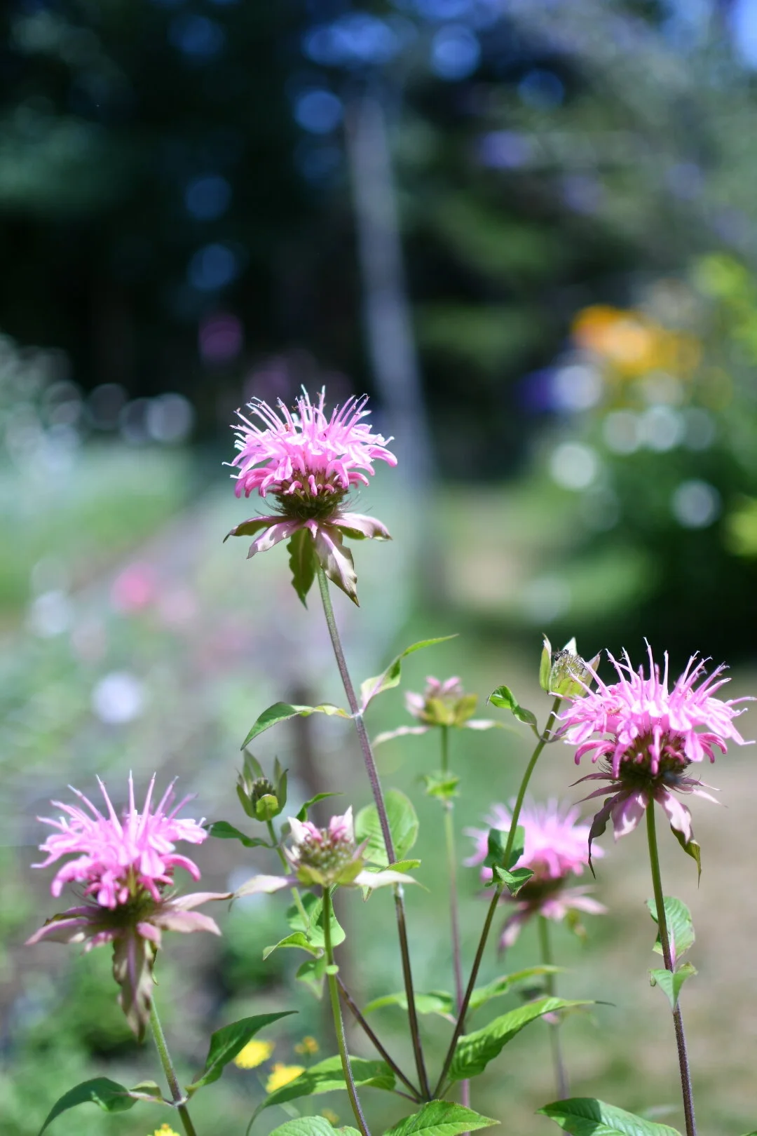 7C2F050C-8544-4717-BEAA-438AA726C35B