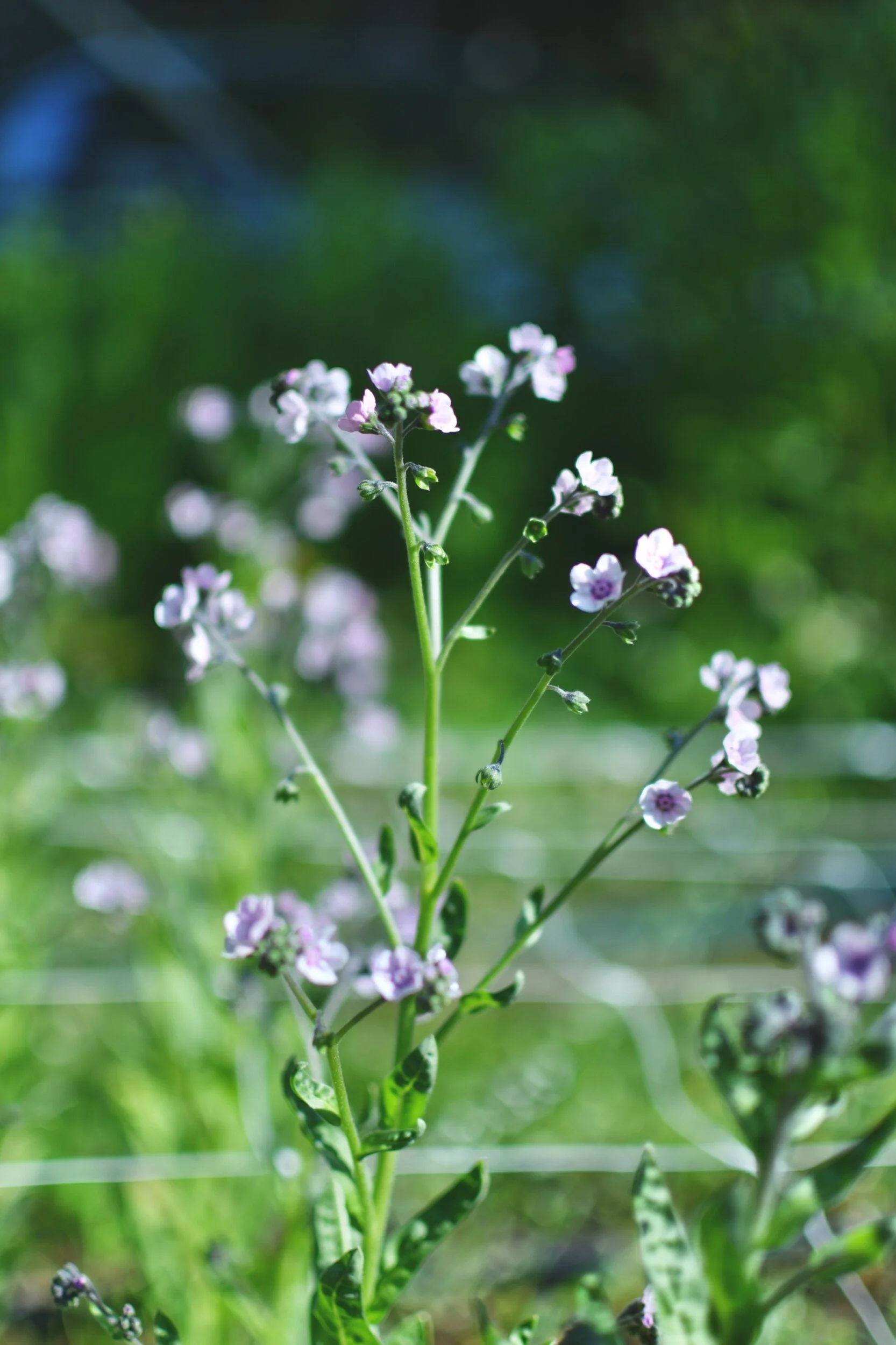 C6897BC9-2745-4520-ADD4-B576CF6D17A8