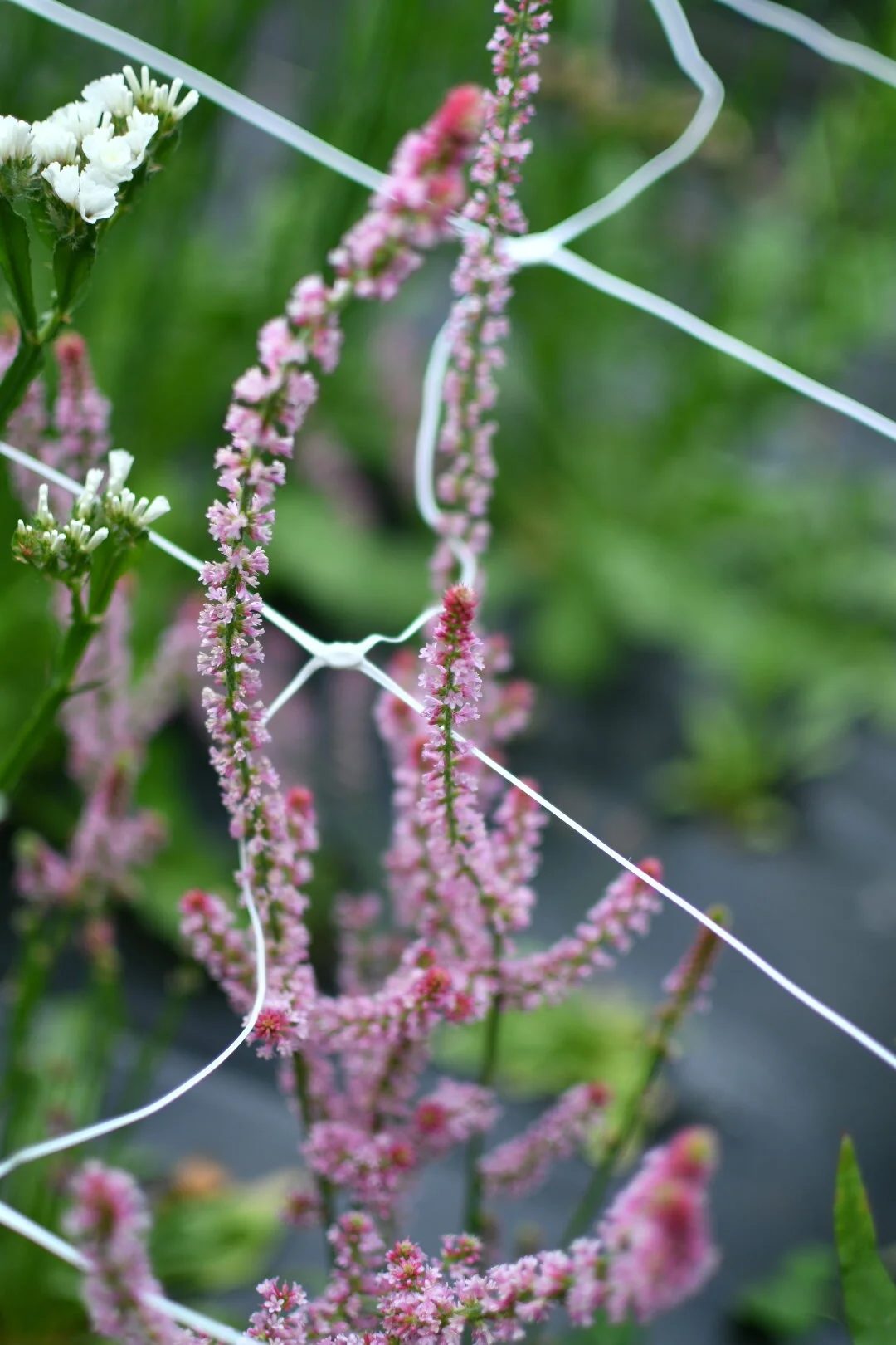 FDCEC9E0-065E-4710-95DD-4BA4D2CFB05C