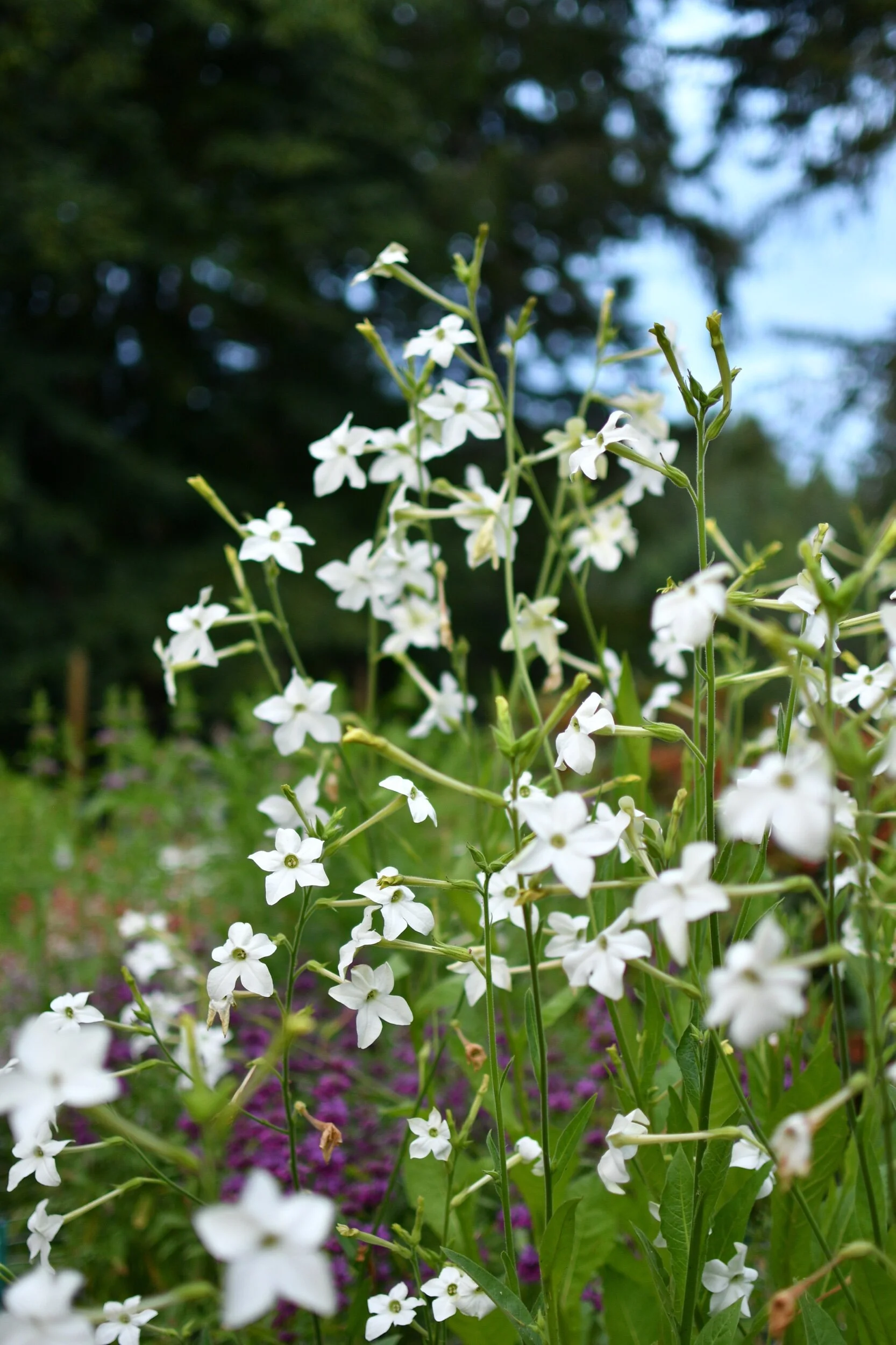 194D709C-972C-40B2-B074-3A8A8D0E021C