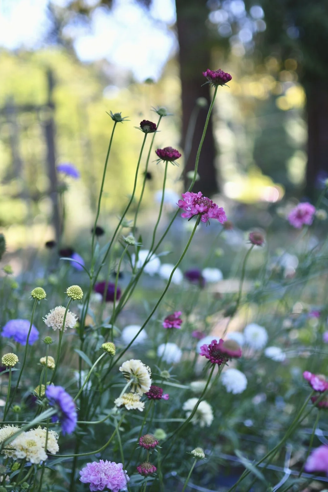 349D5E8D-65A2-4ECE-83C1-69FFCAAB4342