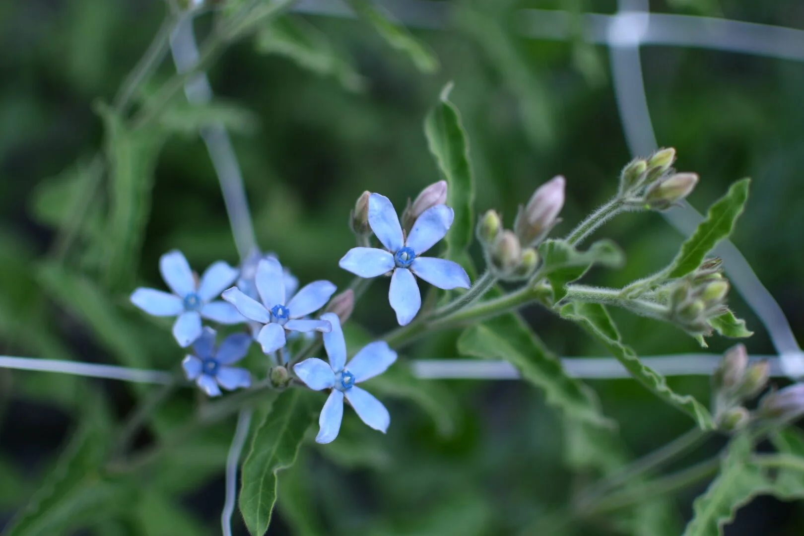 AD9ECDFA-B463-4BD2-A3DB-6B8AB871CF3A