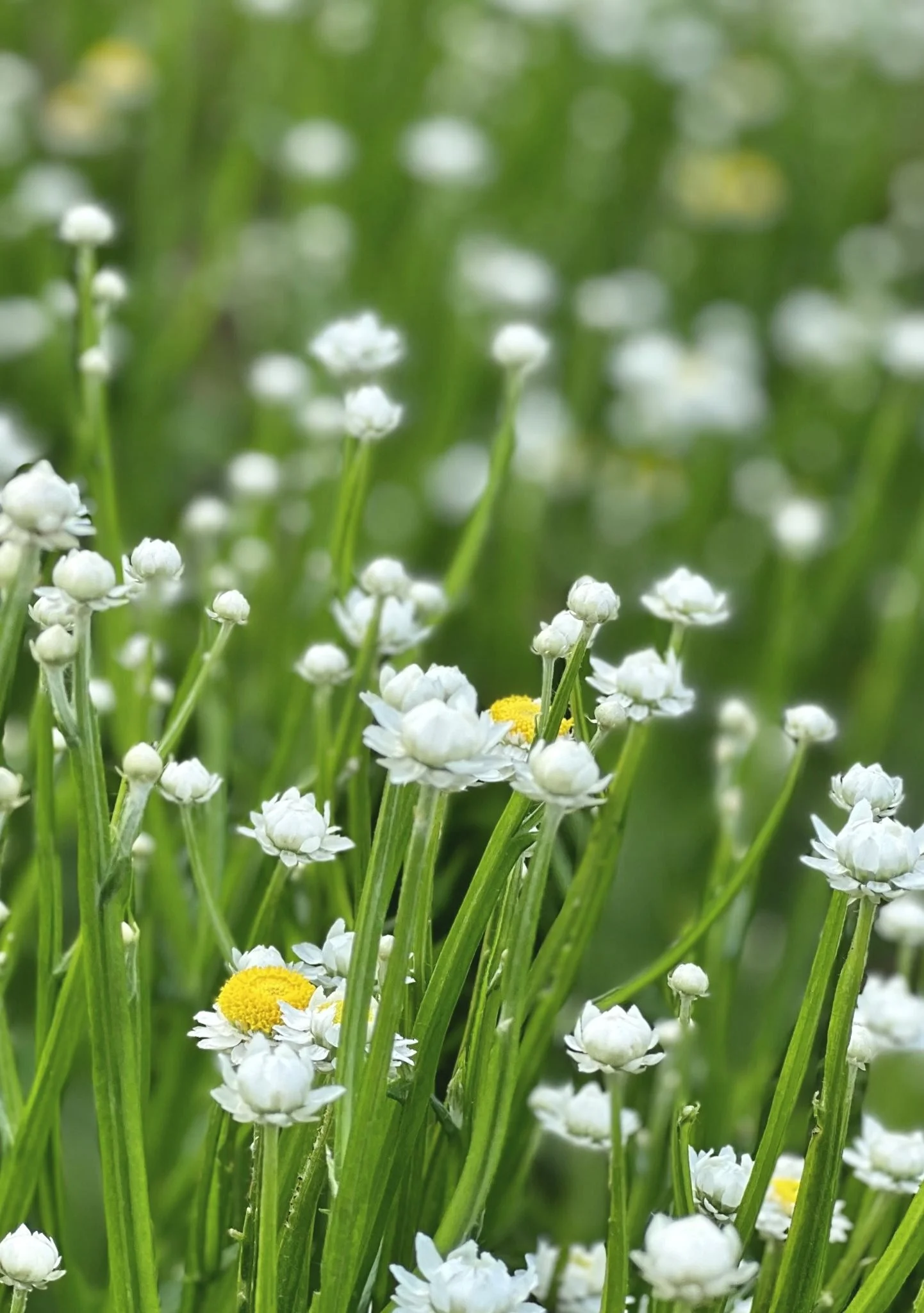 2EB86090-8D4F-4110-BC6E-83985E10C6A9