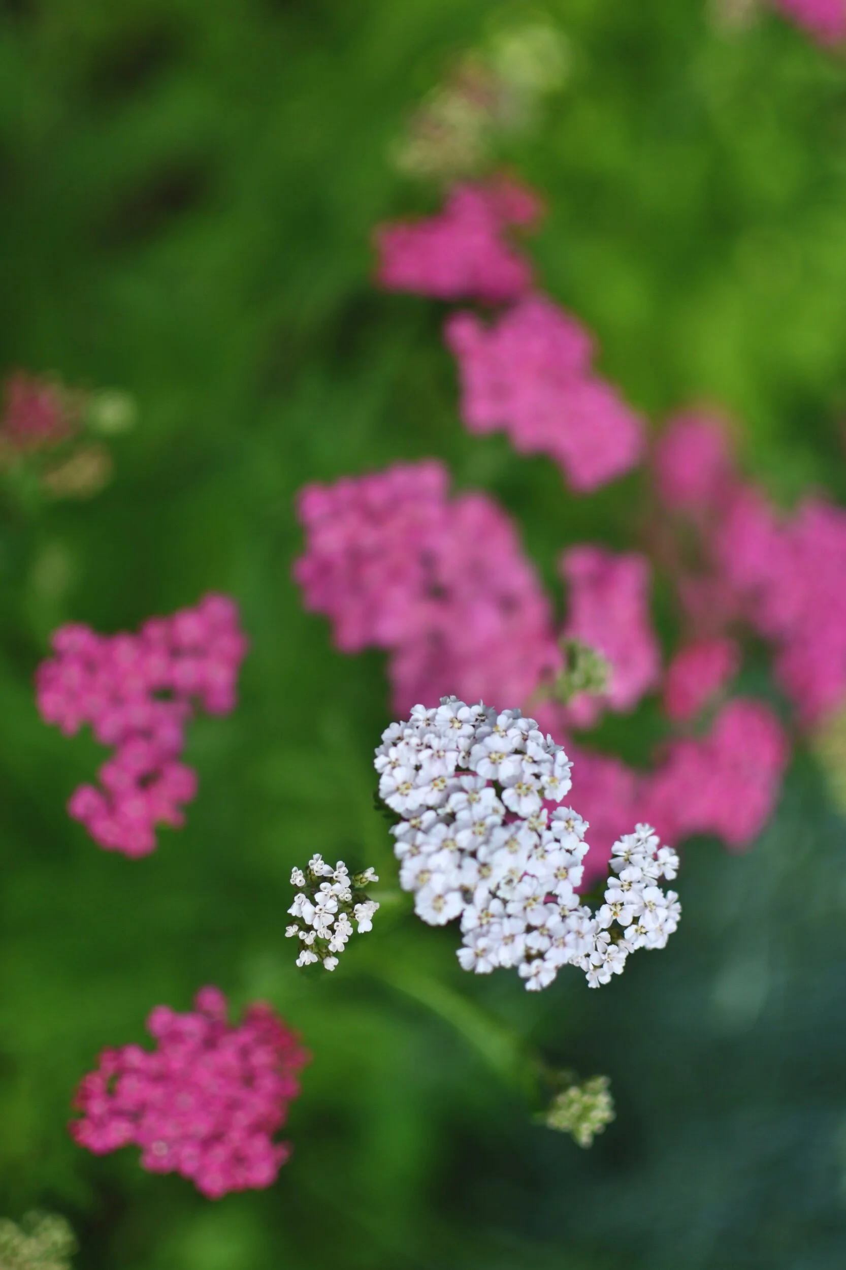 0DF751C1-AB56-4321-A1DC-C1C85BBC9404