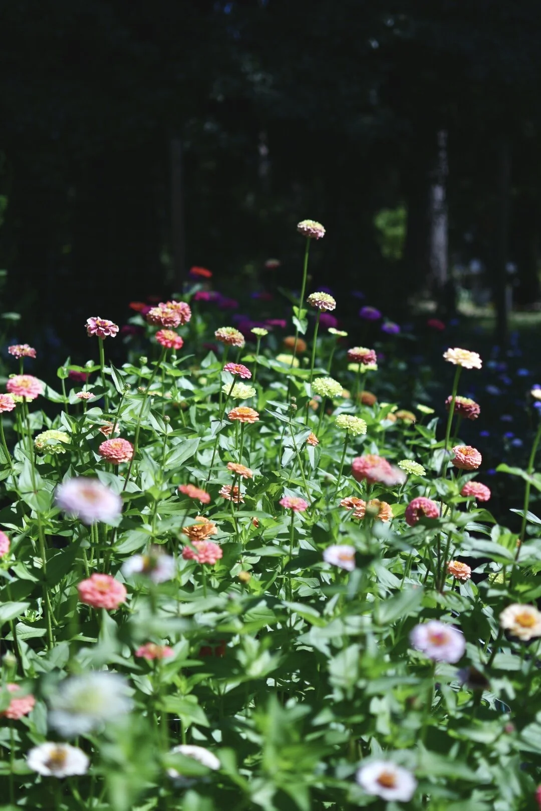 5E4F6C38-DB46-4C2A-9B29-7BE349DE7F4E