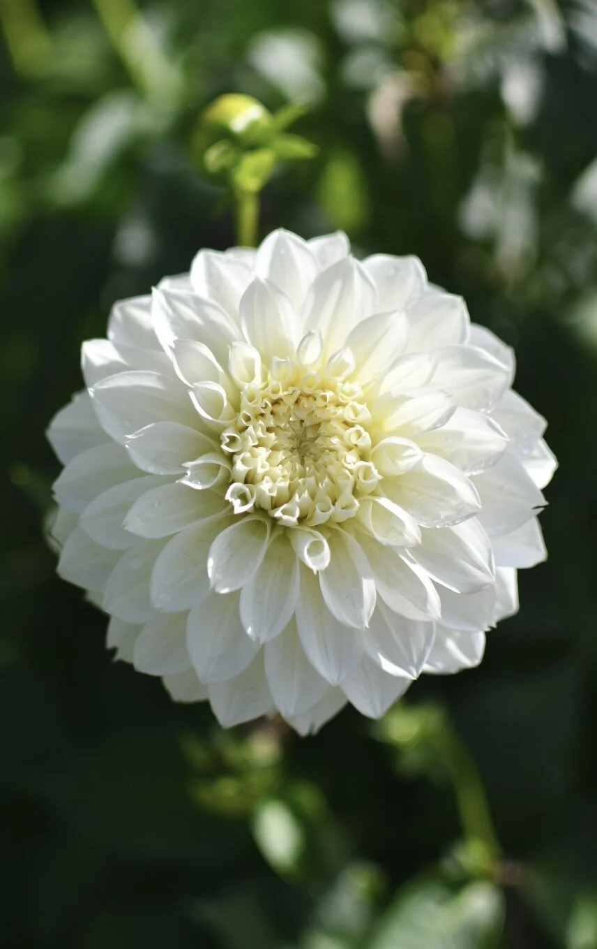 211E7756-93CE-4A0C-83F9-2720B0A4AB87