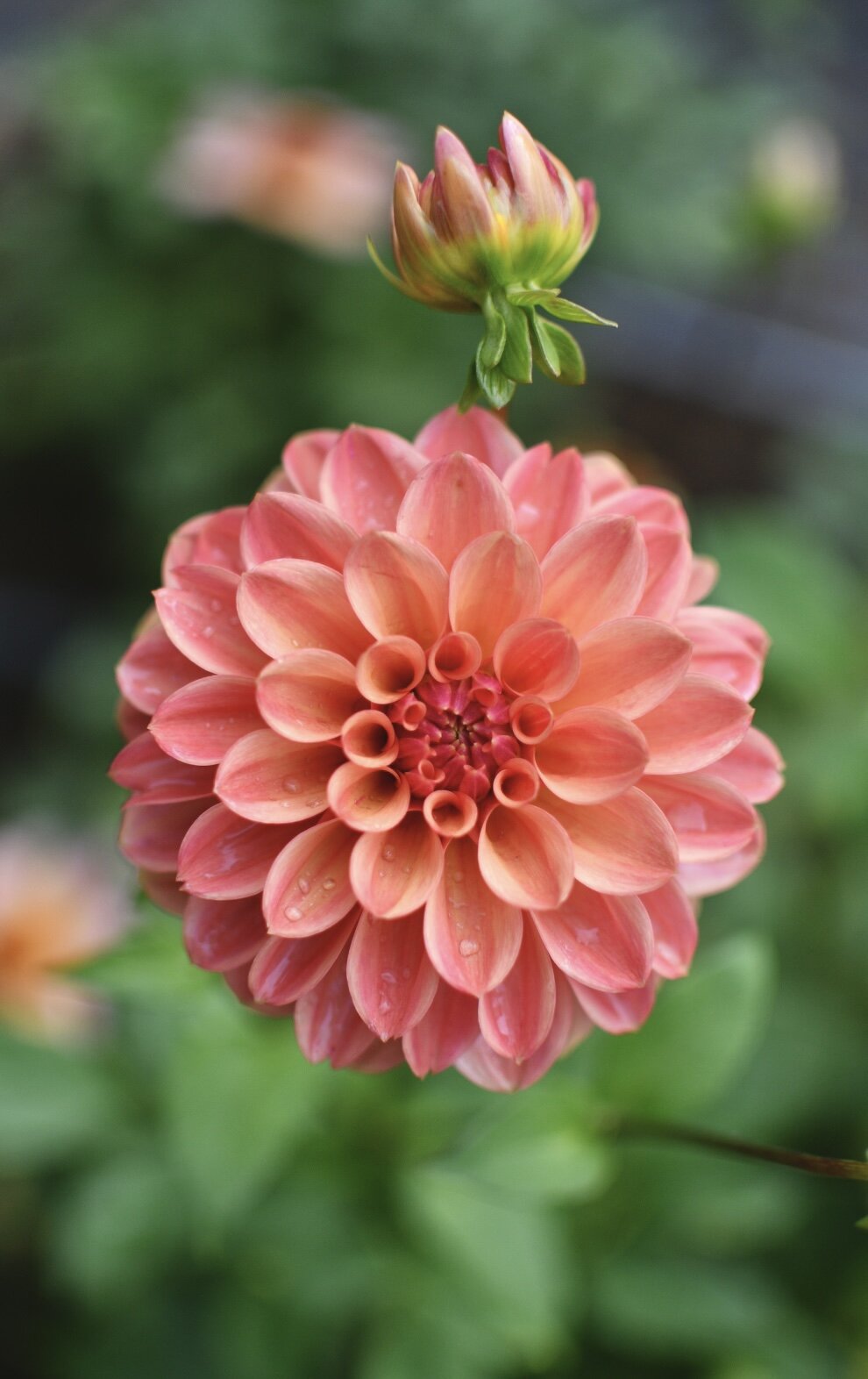 3EF28601-ADC7-4711-97C5-E13F2999483B