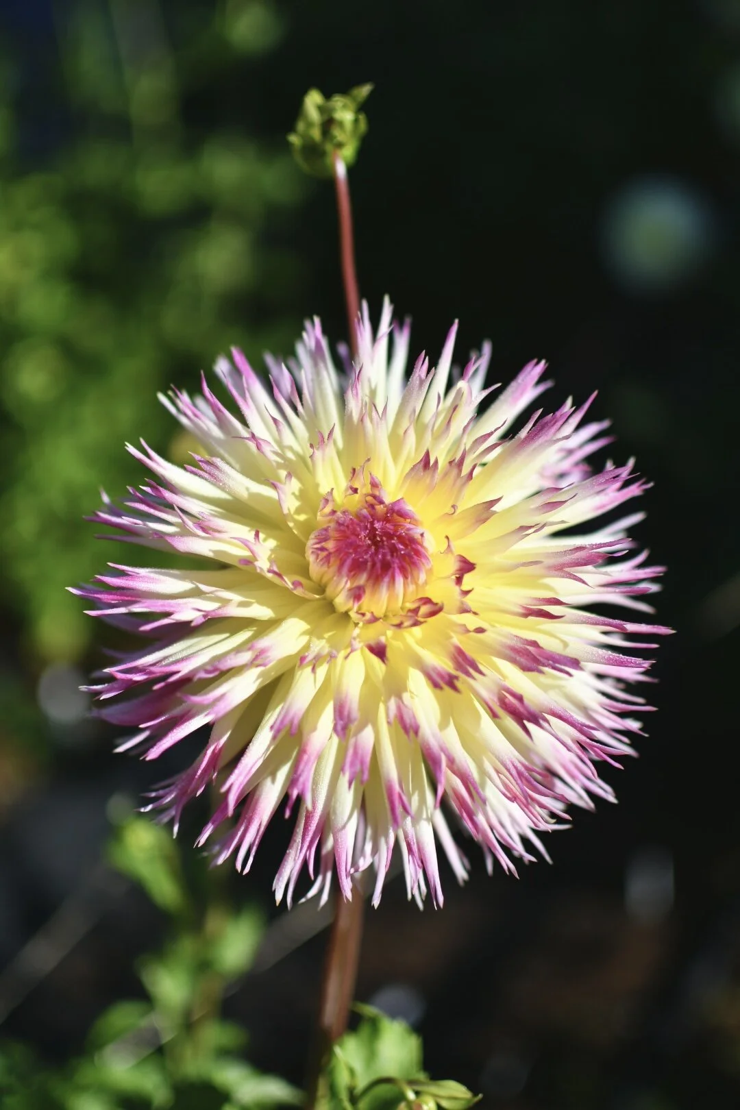 5117C588-FABA-491B-9D3F-B284704ADDBA