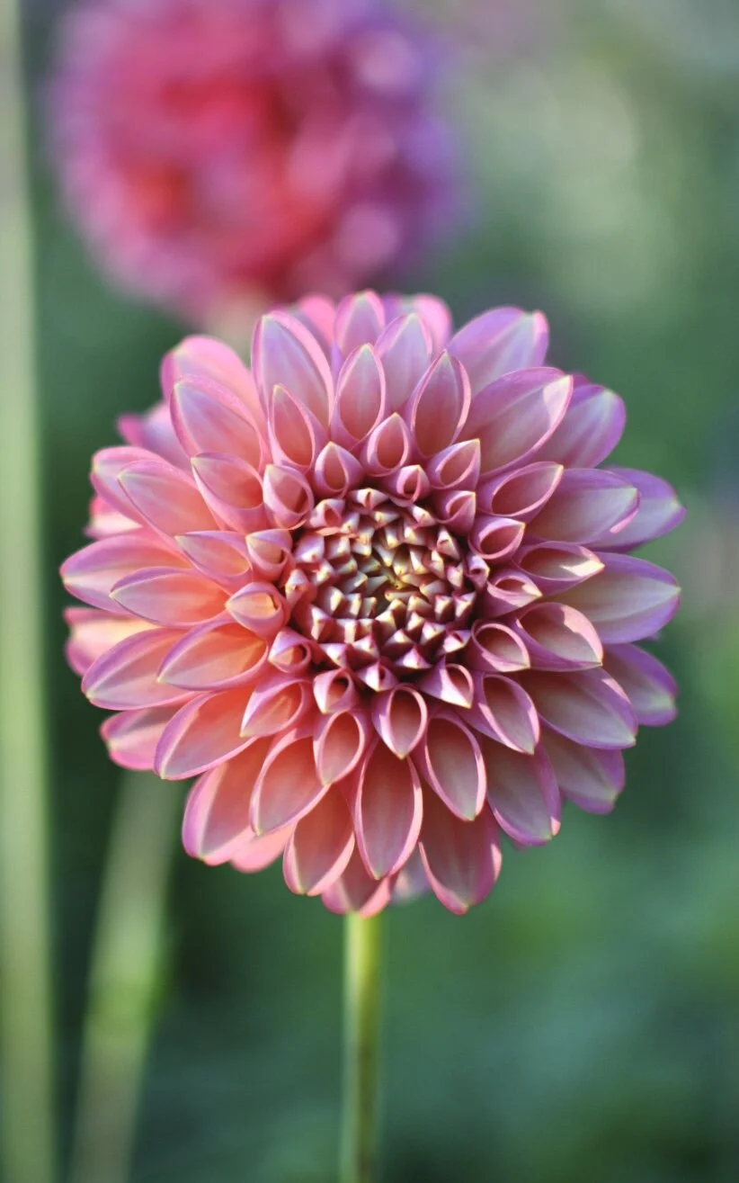 28DB0D0B-B92D-453F-84A0-4CC99A645EDA