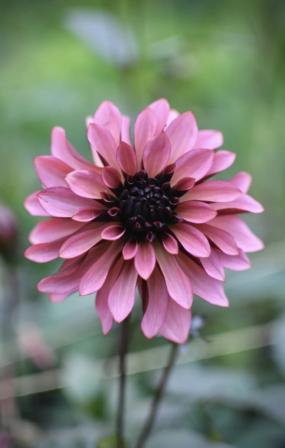 EDBECD0E-57A4-46FC-B9E9-25AB695D1F45