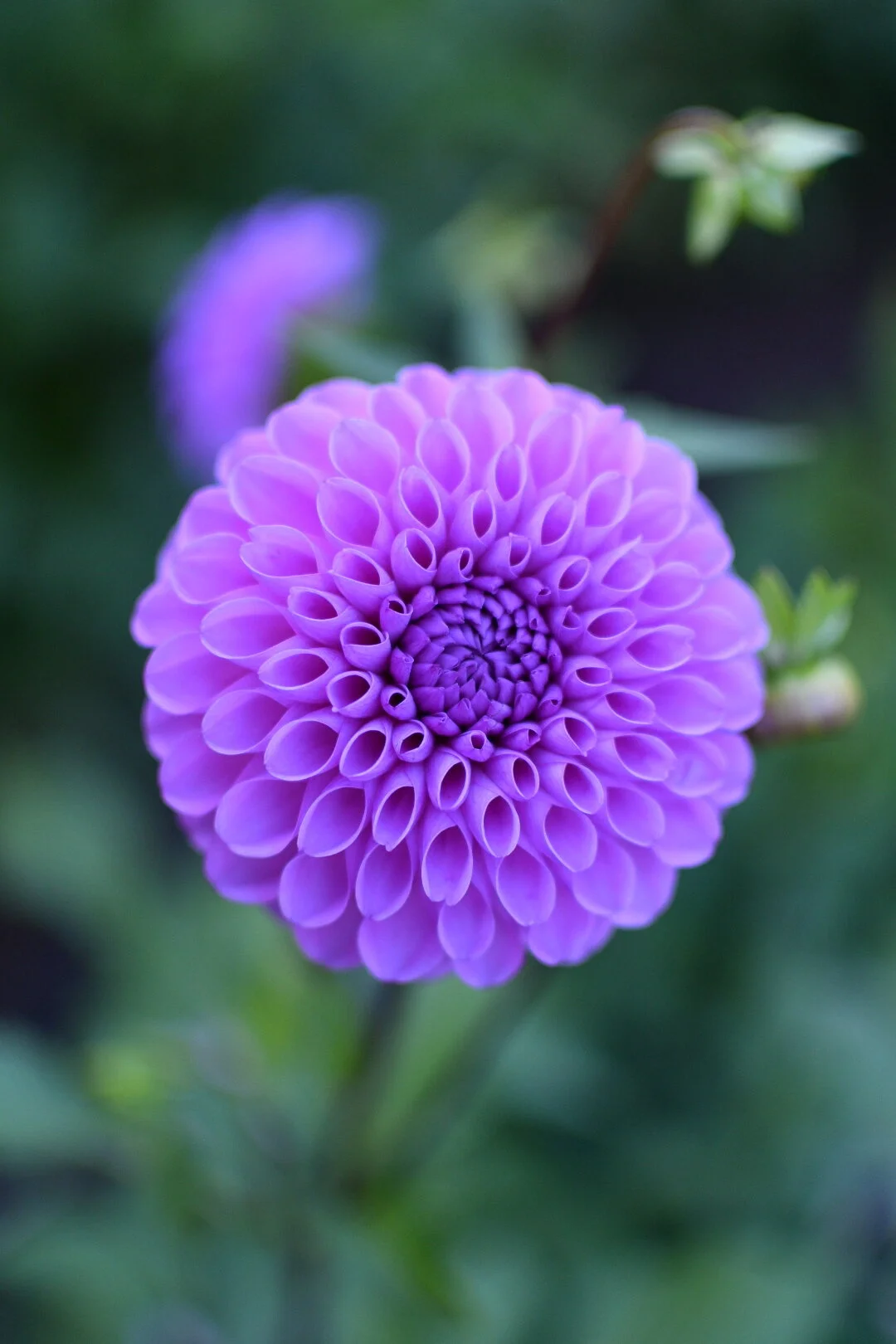 5C53F4FE-609C-49D3-91A0-E07488A287C9