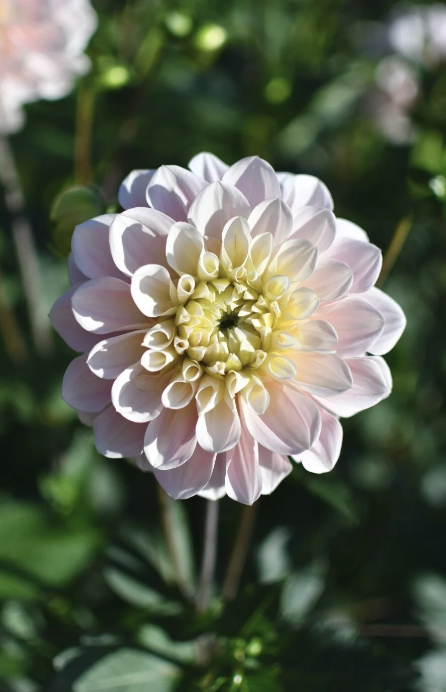 1ADAB02A-14B3-46F9-A317-B2298A9DE114