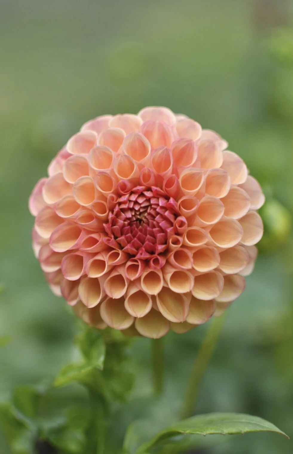 DCB2E17D-E19A-4BA6-BE9E-F5AB80026F6F