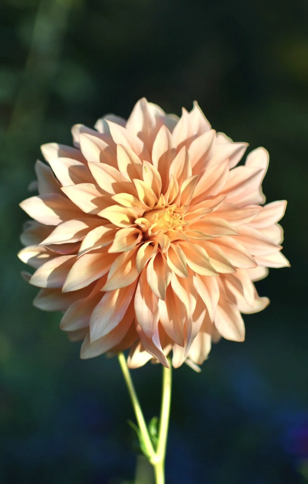 3DE27E37-EBD8-4528-A83F-4B2BAD042D4A