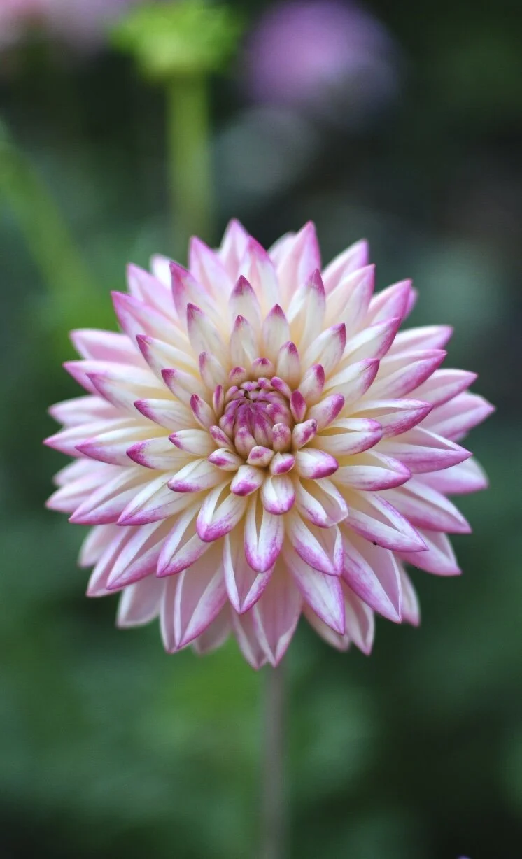 3C633B32-3923-4AB4-BD22-56B2A1E863FB