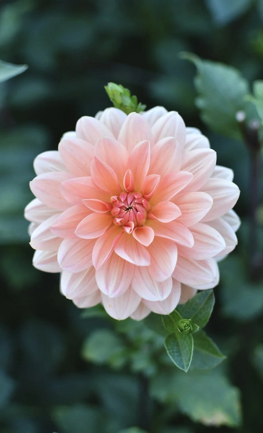 D738ADA6-8053-4328-8C49-8BA219E4D133