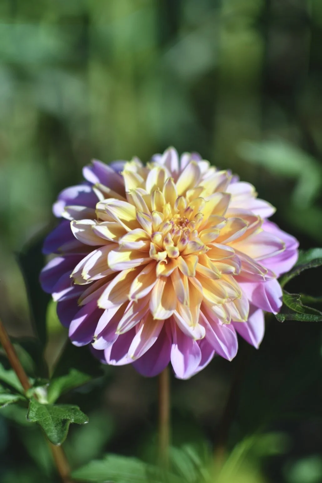 7E8509BC-143C-4778-9A8F-1045CEA92465