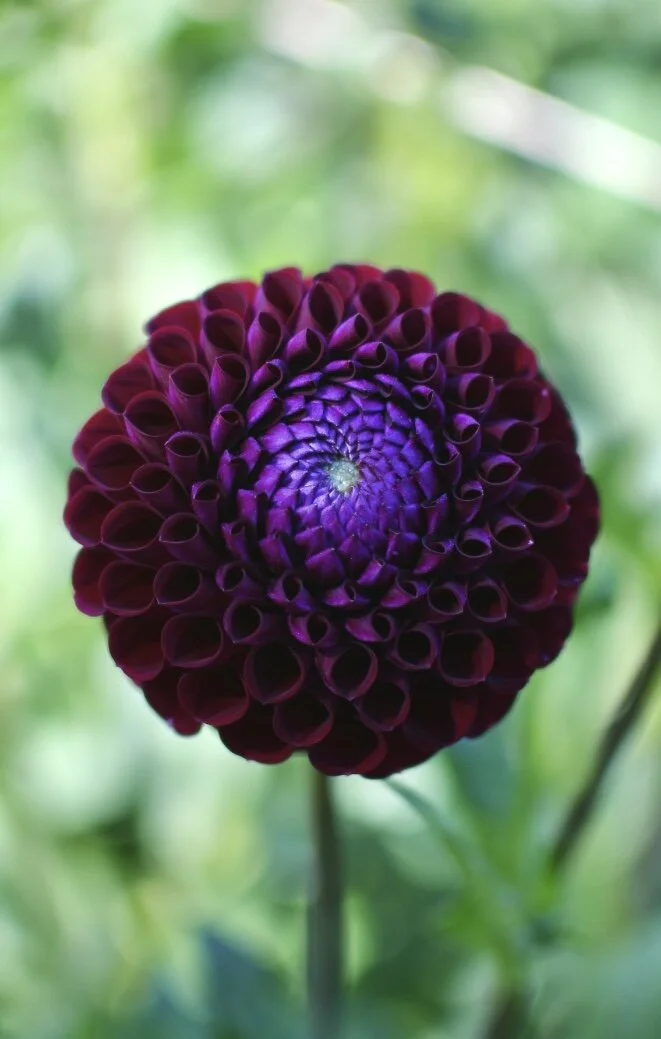 23127EA3-BBB1-4A94-9F27-311293FD1687