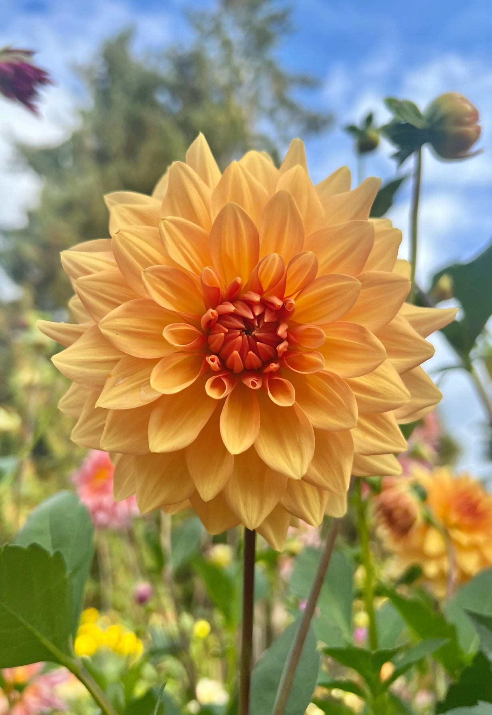 341C937C-D855-42A1-B03F-FE18278551EE