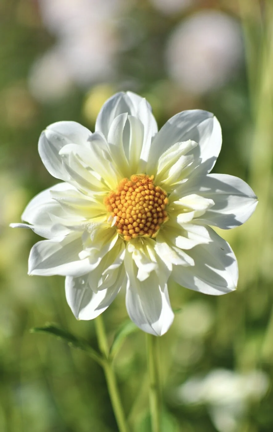 F467F833-4D37-4C95-BBDF-244D38E6236C