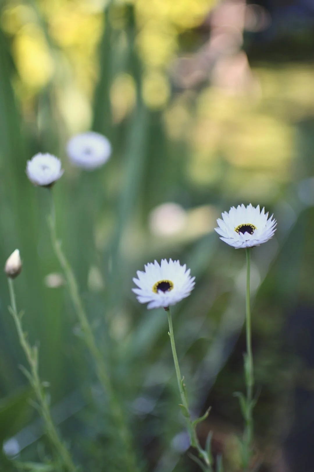 B3024C82-61D0-47FC-BEFD-507F46B1FF77