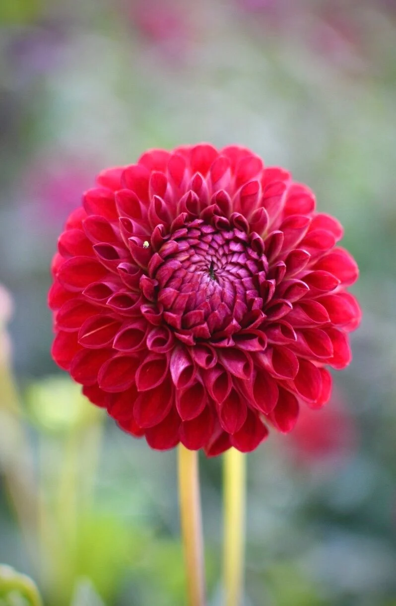 0FBB899E-6FD3-4252-9447-5B2957CBA78D