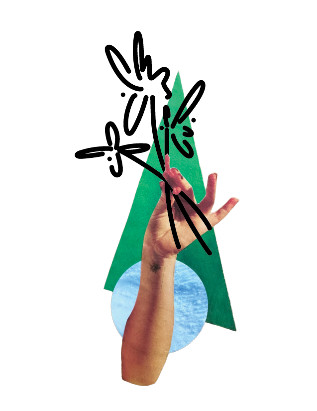 ananela_BLANK Cards_spring26_flowers.png