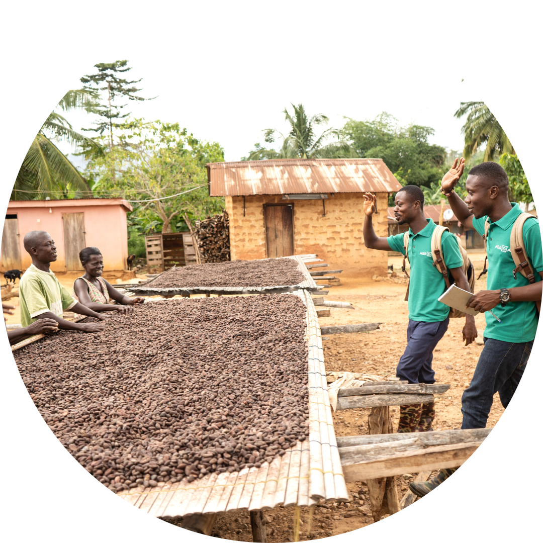 Meridia cocoa farm mapping Ghana - field staff