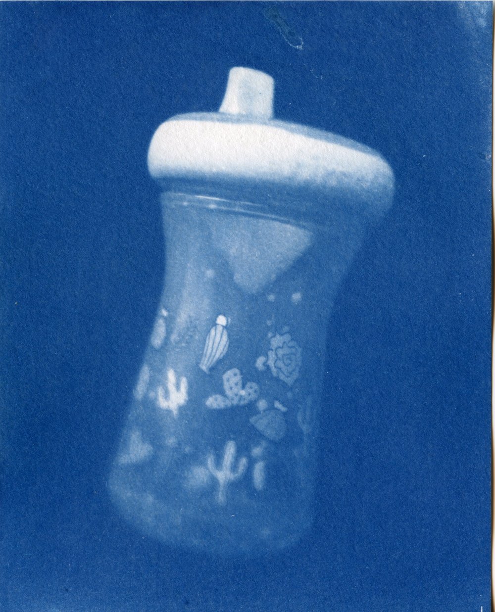 cyanotype08.jpg