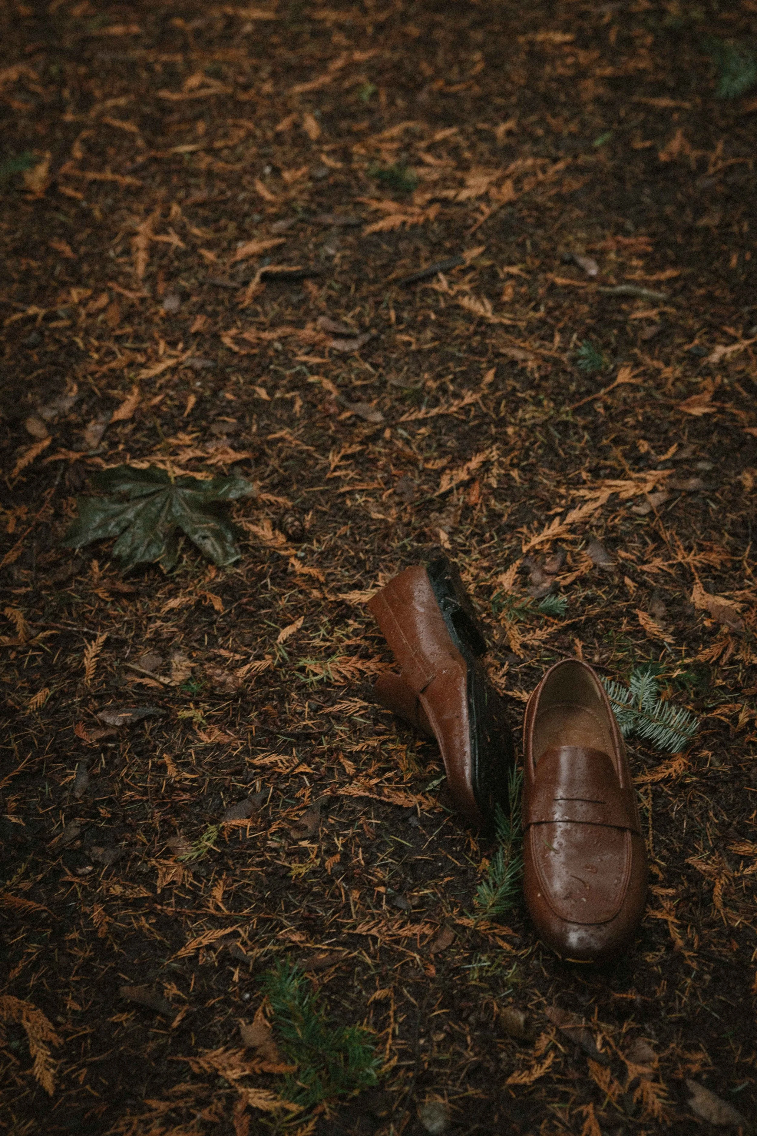 LMS A&T sneaks-0197.jpg