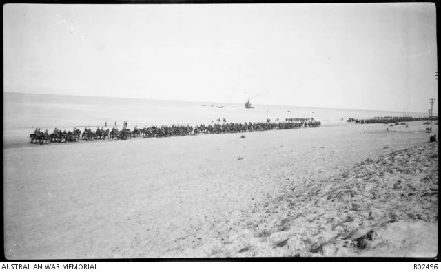 The Anzac Division moving towards Rafa