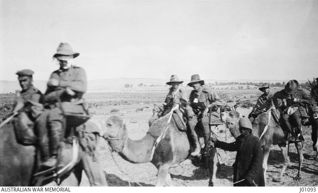 Australian wounded being evacuated after the battle.