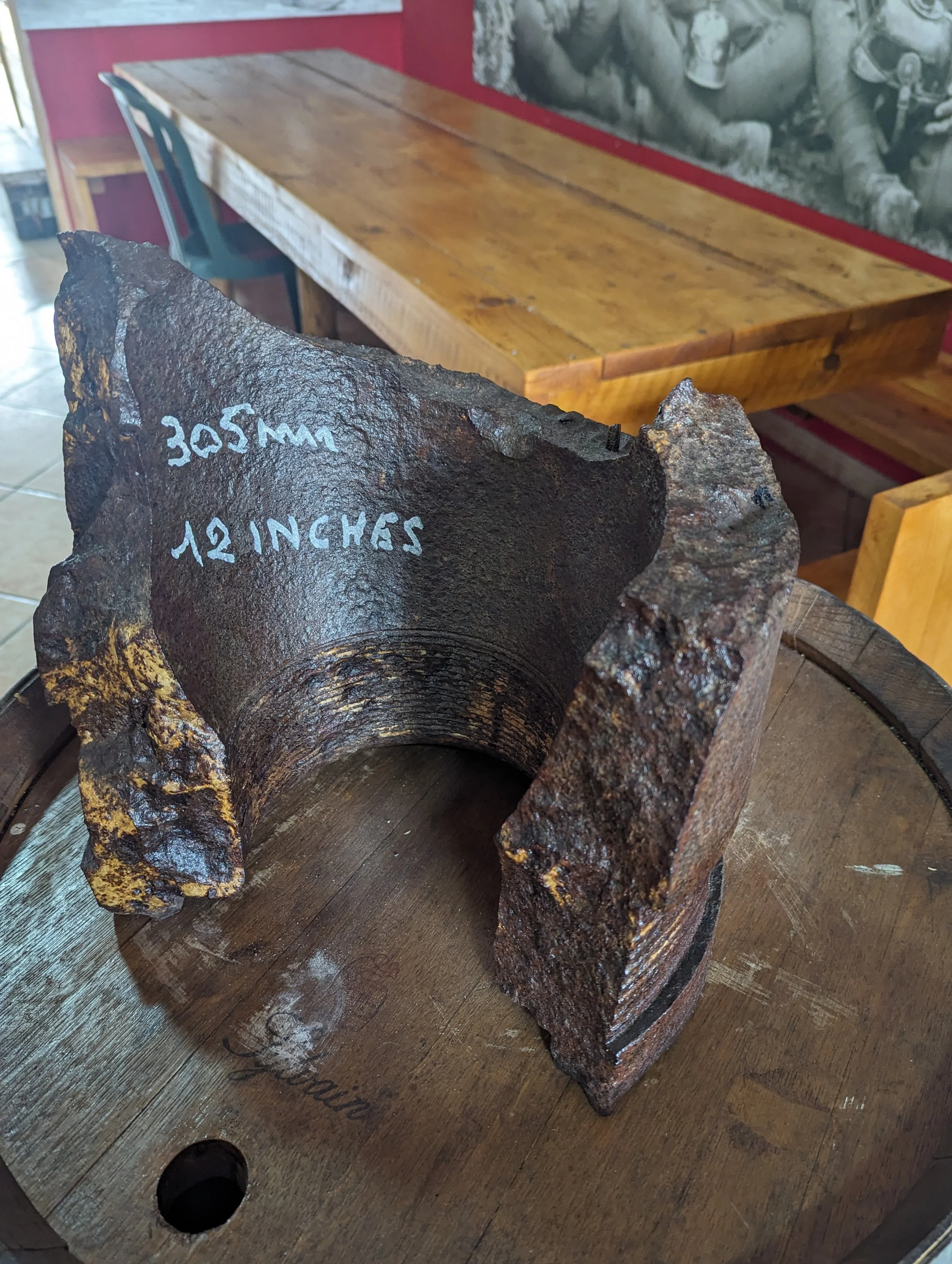  More shell fragments.   Author’s photo 2024.  