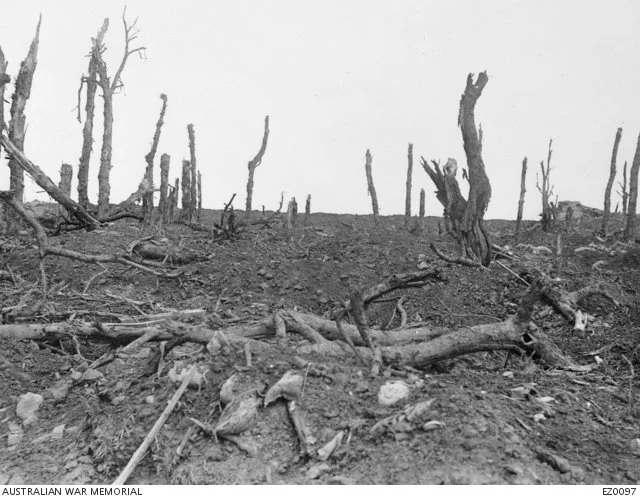  The ground leading up to Gibraltar (top left corner). It was from roughly this position that Captain Herrod first saw the strongpoint.  