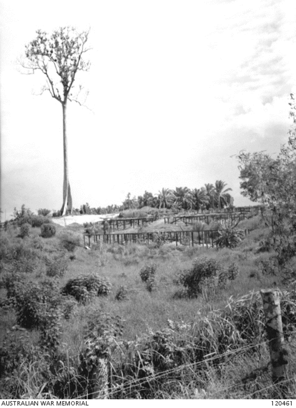  Image of Sandakan camp, showing “The Cage”  Courtesy AWM 