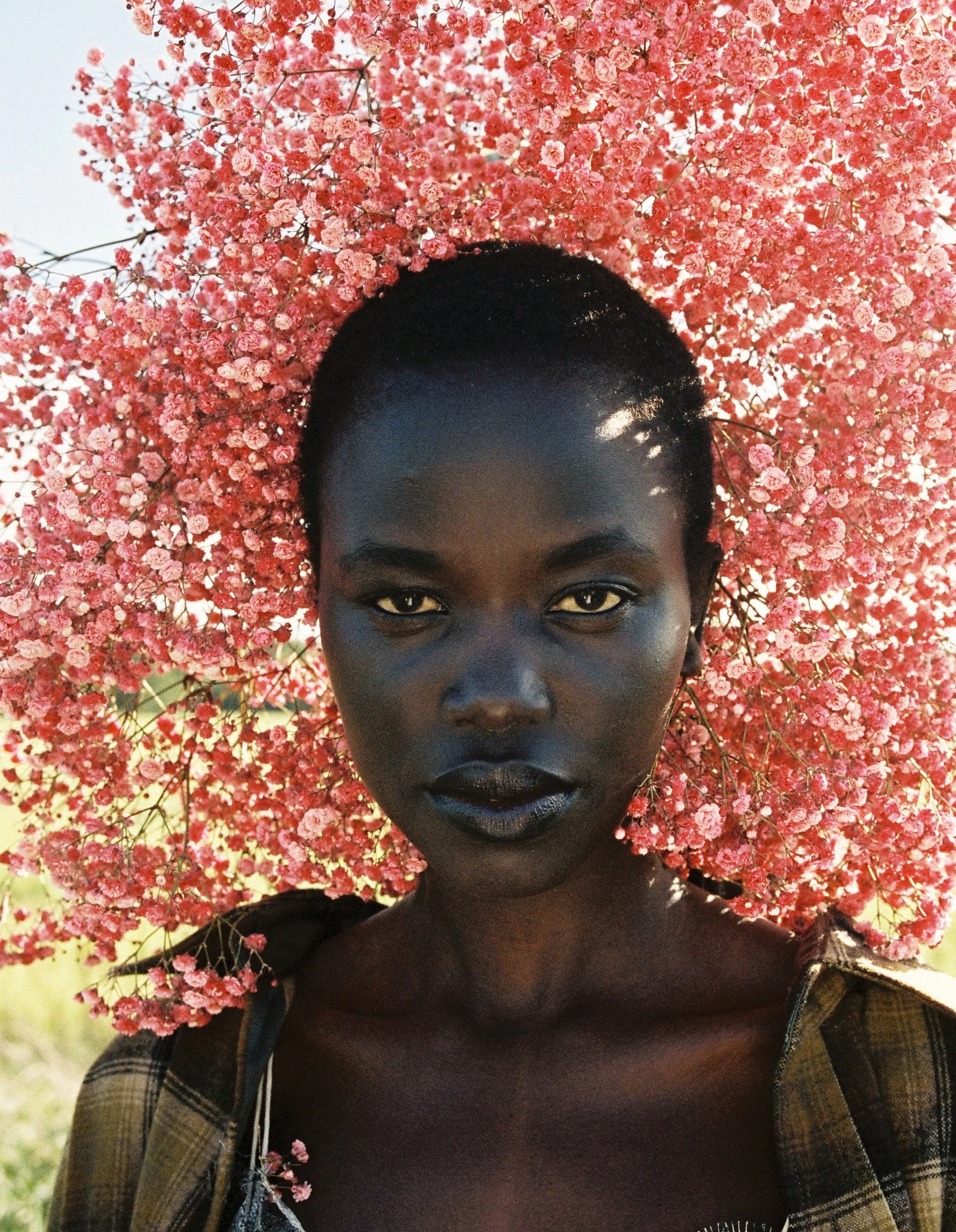 B009498-R1-02-3 copie.JPG