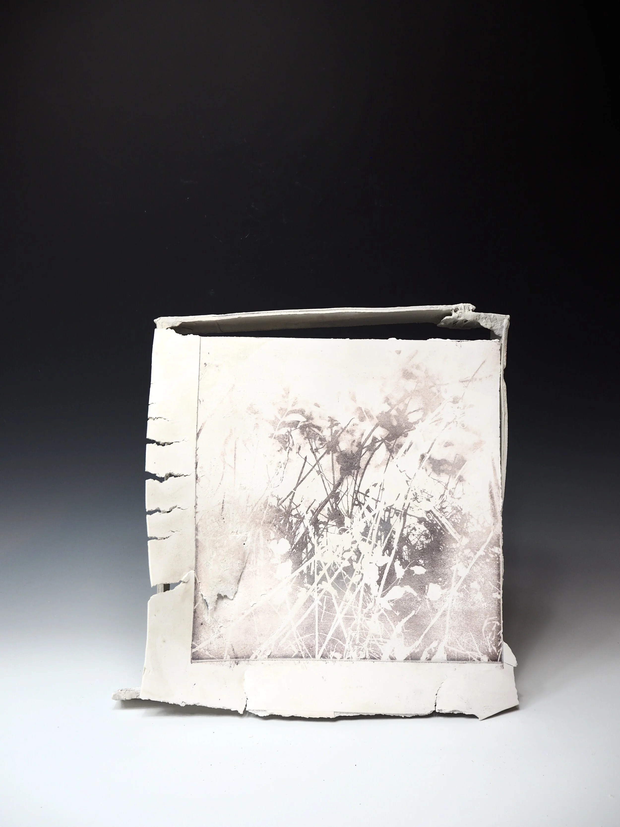 Palimpsest Series 2020.