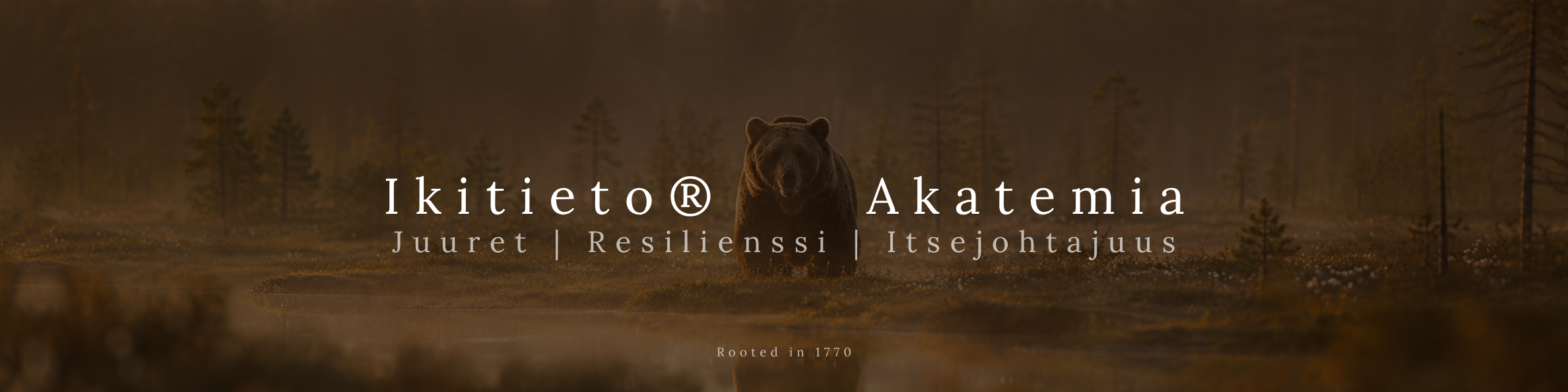 LinkedIn taustakuva (13).png