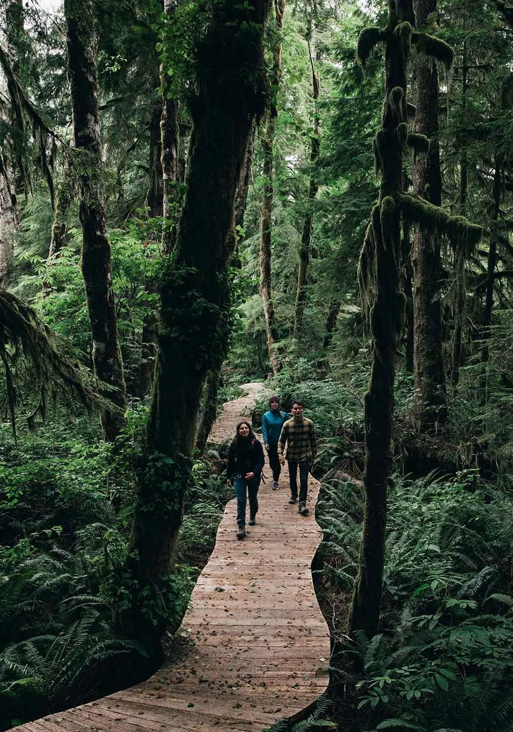 Hiking.jpg
