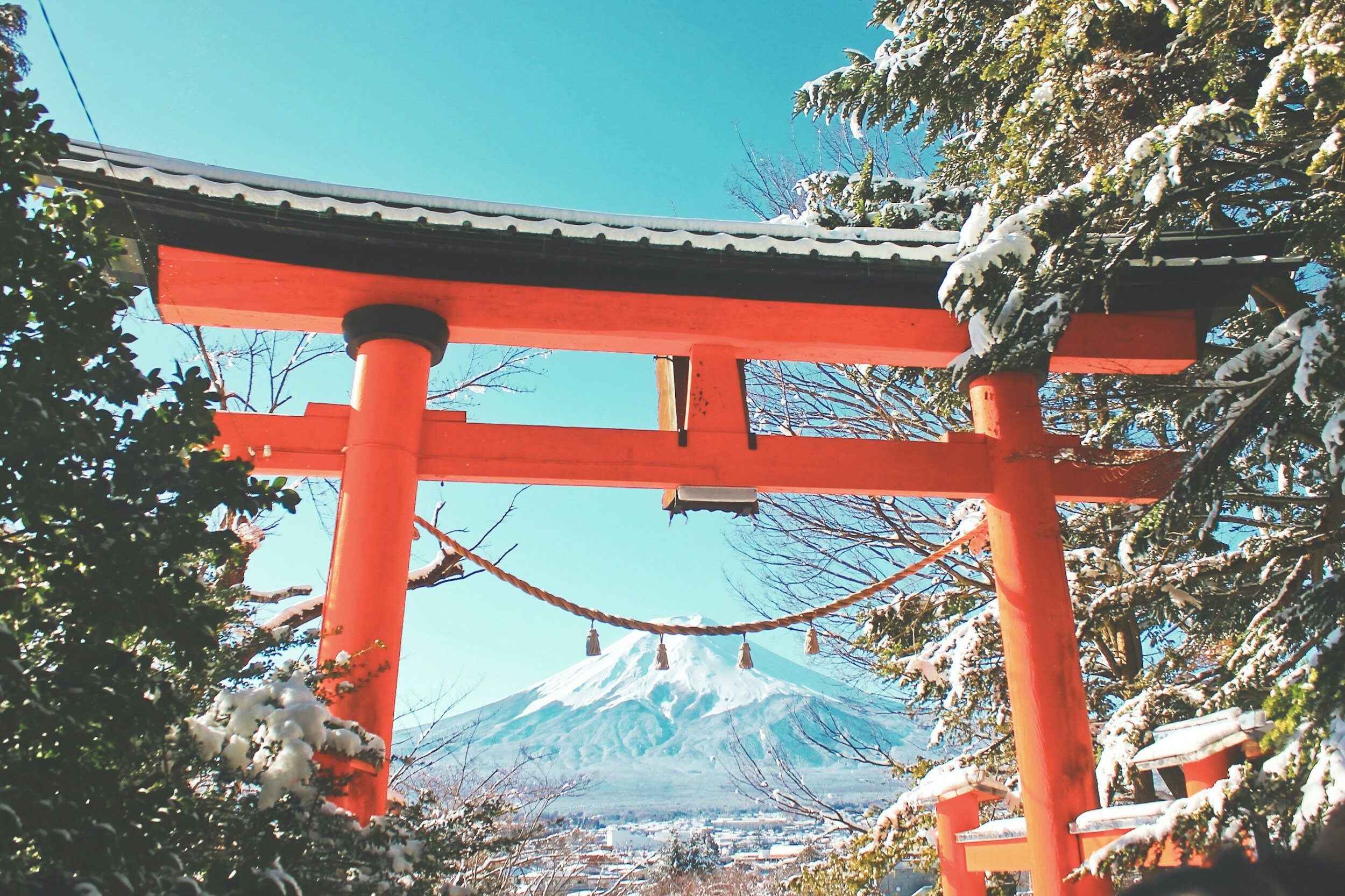 Japan Shrine