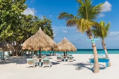 Boardwalk Beach-Hammocks_Beachhuts.jpg.webp